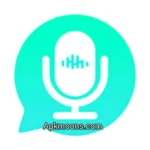 Voice Changer