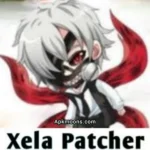 Zela Patcher