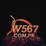 W567 Game