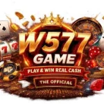 W577 Game