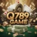 Q789 Game